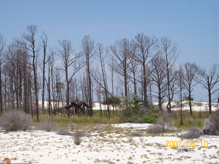 20070610_0806