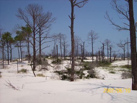 20070610_0816