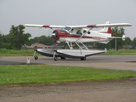 KW_0134-Beaver