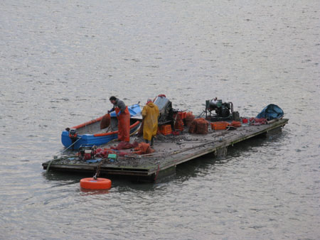 KW_2349-mussellboat