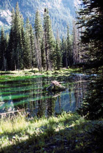 12-013-J10_BeaverPond