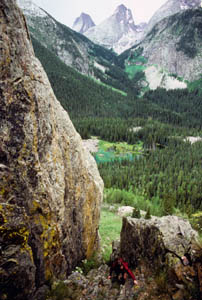 12-020-J29311_KarenSteepTr