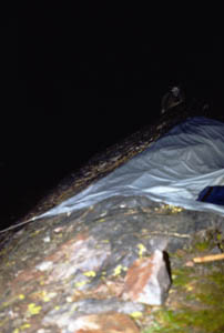 12-050-J29527_MtnGoat