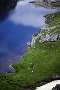 12-095-J29828_hikers