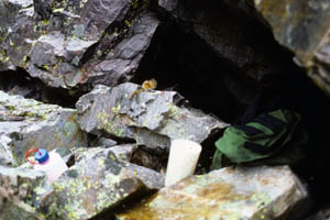 12-102-15036_GroundSquirrel