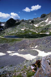 12-117-J30022_KarenMacro