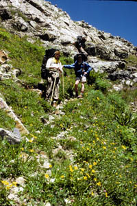 12-127-15226_B&Strail