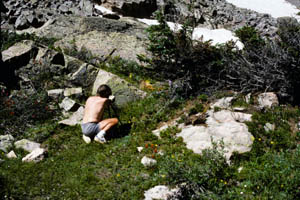 13-006-15302_JimMarmot