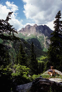 13-051-J30805_KarenOverlook