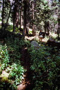 13-058-30813_KarenTrail