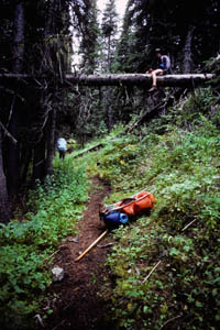 13-081-J30916_ShanePerch