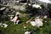 13-006-15302_JimMarmot