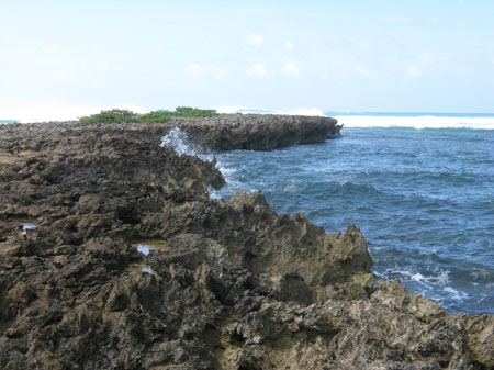 20080414_1960-wavesrock