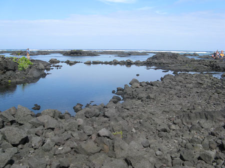 0067-Kapoho-foundation