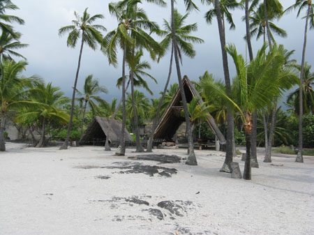 2062-NativeConstruction