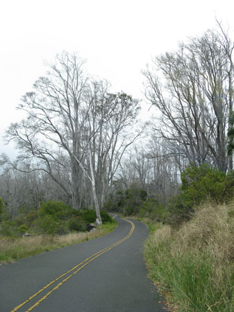 0059-driveupMaunaLoa