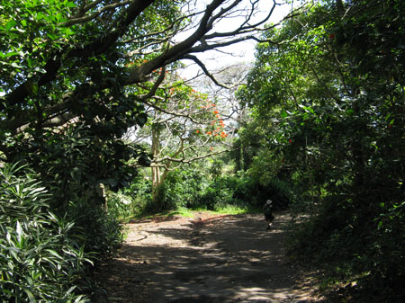20080421_2096-hikedown