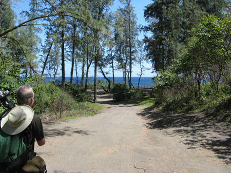 20080421_2097-tobeach