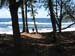 20080421_2108-beachtrees