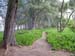 20080421_2116-beachtrail