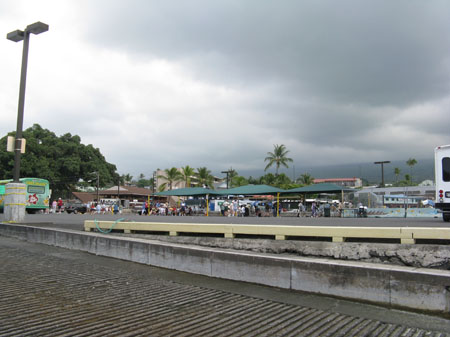 2197-tourist-landing