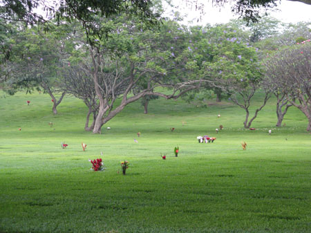 2365-Punchbowl_cemetary
